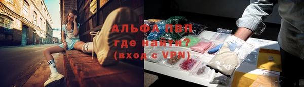 спиды Абаза