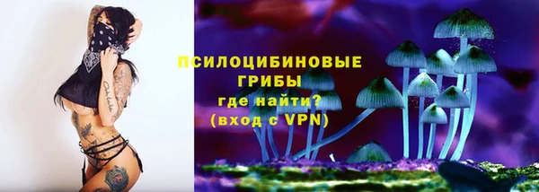 спиды Абаза