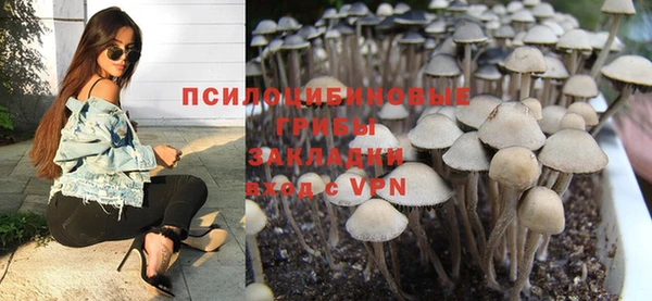 спиды Абаза