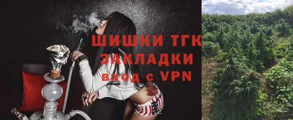 спиды Абаза