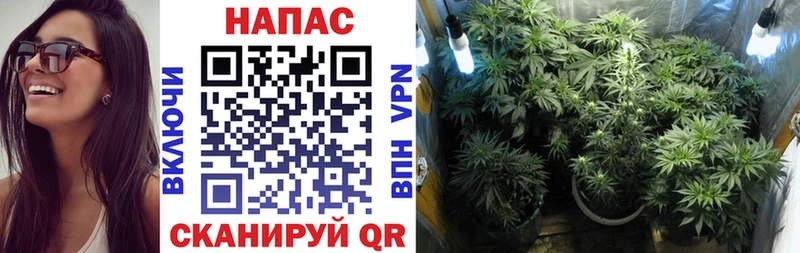 магазин продажи   Челябинск  Каннабис Ganja 